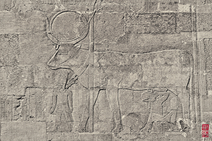 egypt_platinum_02-thumb